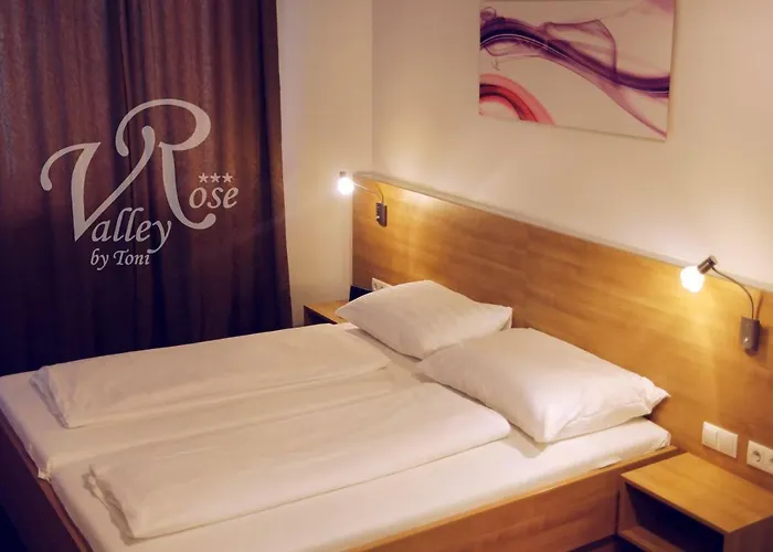Ξενοδοχείο - Restaurant Valley Rose 3*